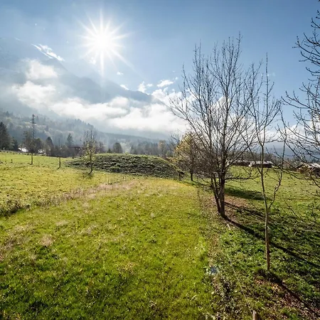 Ikigai - By Emerald Chalet