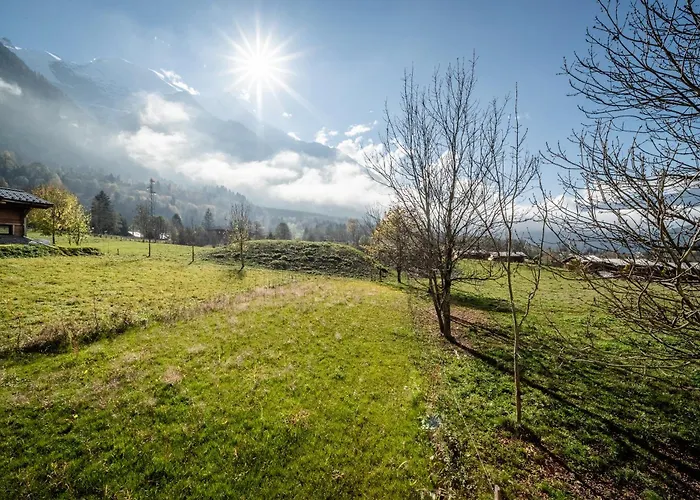 Ikigai - By Emerald Alpesi faház